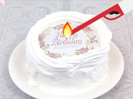 ユニオンケミカー販売の可食シートバーンアウェイケーキに使用 