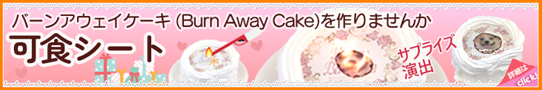 ユニオンケミカー株式会社では、バーンアウェイ ケーキ(Burn-away cake)用のプリント可食シート(すたっしゅシート)